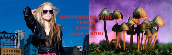 синтетический гашиш Медвежьегорск