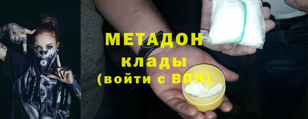 прущие грибы Мегион