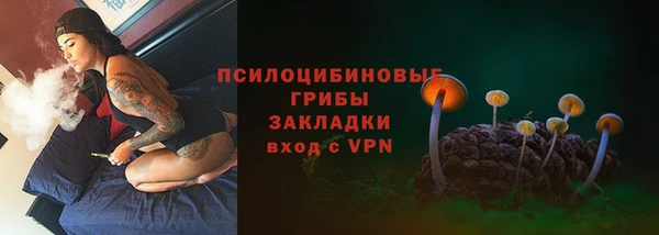 прущие грибы Мегион