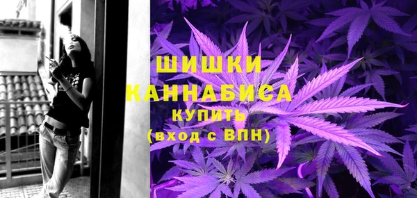 ГАЛЛЮЦИНОГЕННЫЕ ГРИБЫ Медногорск