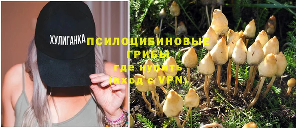 синтетический гашиш Медвежьегорск