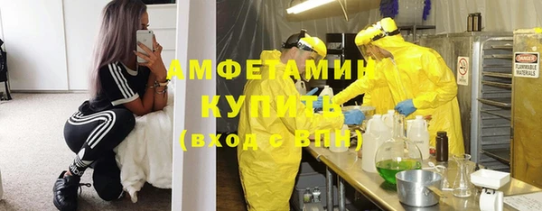 прущие грибы Мегион