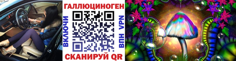 Галлюциногенные грибы Magic Shrooms  продажа наркотиков  Вилючинск 